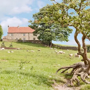  Holiday home Warren United Kingdom